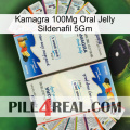 Kamagra 100Mg Oral Jelly Sildenafil 5Gm kamagra1